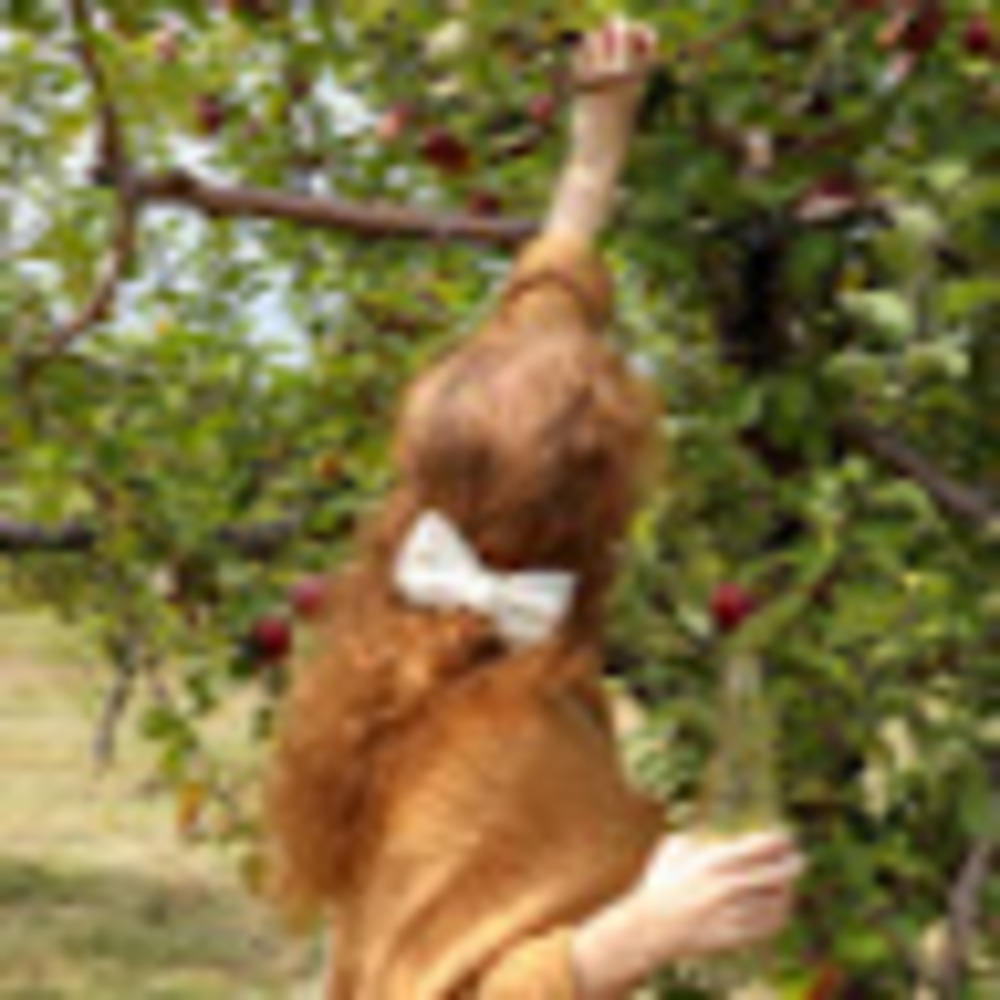 Meet your Posher, Megan